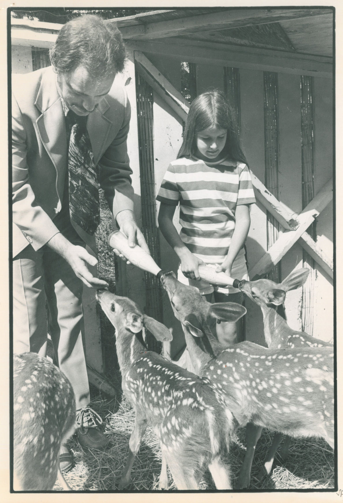 Lincoln Children's Zoo 50th Anniversary